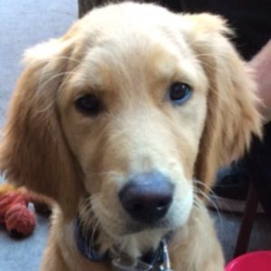 Meet your Posher, Kerry